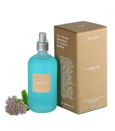 Spray Ambiente Shell Satinata - Carbaline
