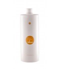 InBloom Lush Nourishing Mask Maschera Nutriente per Capelli Danneggiati o Crespi - Naturalmente - 1000ml