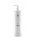 InBloom Detox Balancing Cream Cute con Eccesso di Sebo - Naturalmente - 500ml