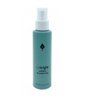 BeBright - Lucidante - Spray lucidante senza silicone - 100ml - Naturalmente