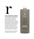 Shampoo Nature Inside Aloe e Sandalo Multivitaminico, Equilibrante – Aloe, Sandalwood – Naturalmente – 1000ml