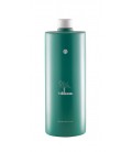InBloom Detox Shampoo Detossinante per il Trattamento della Cute e dello Stelo - Sebo, Iperidrosi - Naturalmente - 1000ml